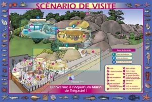 marc-sinic-illustrations-bd-musee-marin-tregastel-07